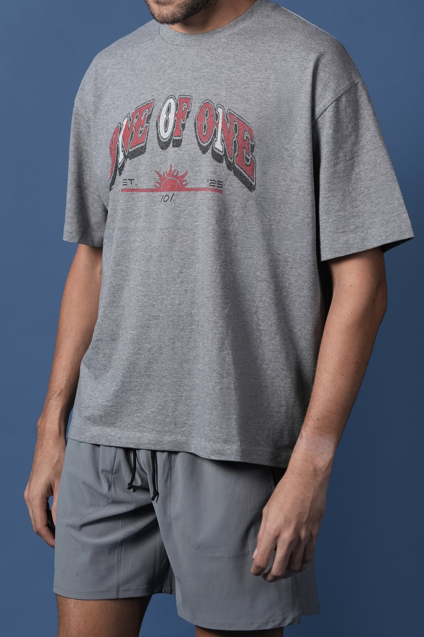 ONE OF ONE TEE (HEATHER GREY)